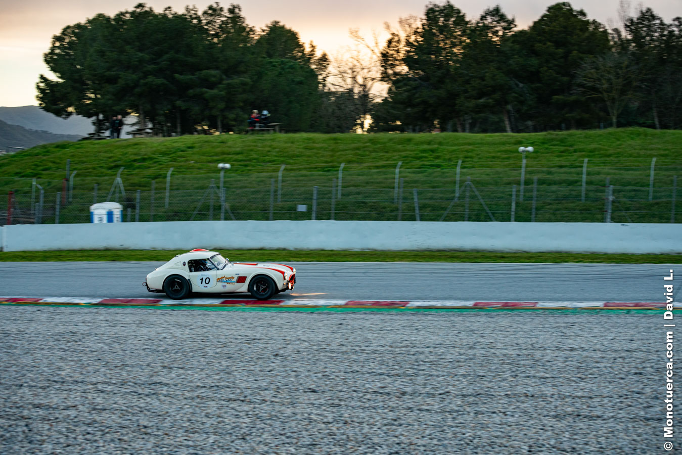 #10 Shelby Cobra 289