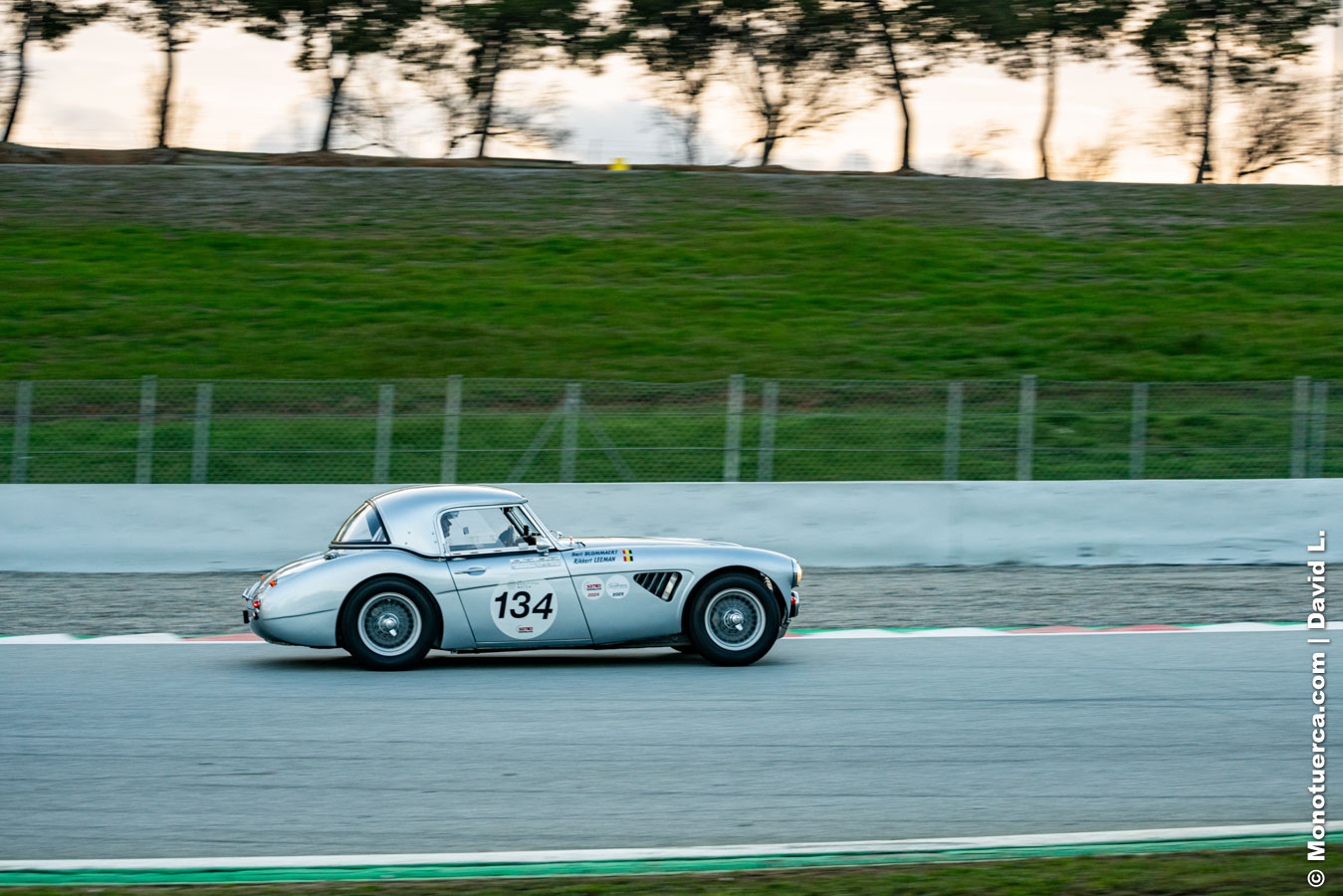 #134 Austin-Healey 3000 Mk I
