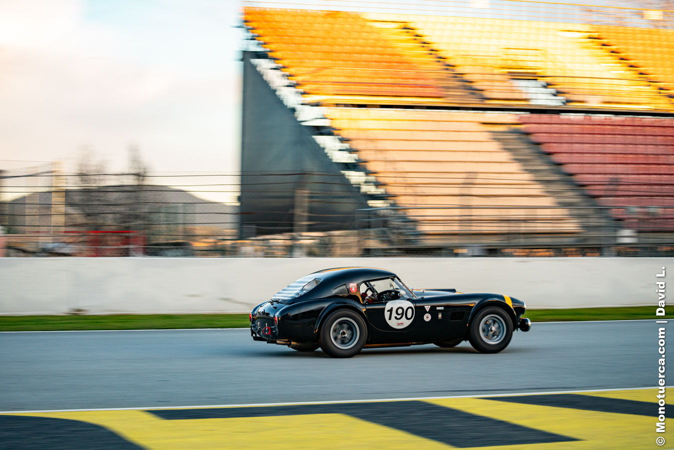 #190 Shelby Cobra 289