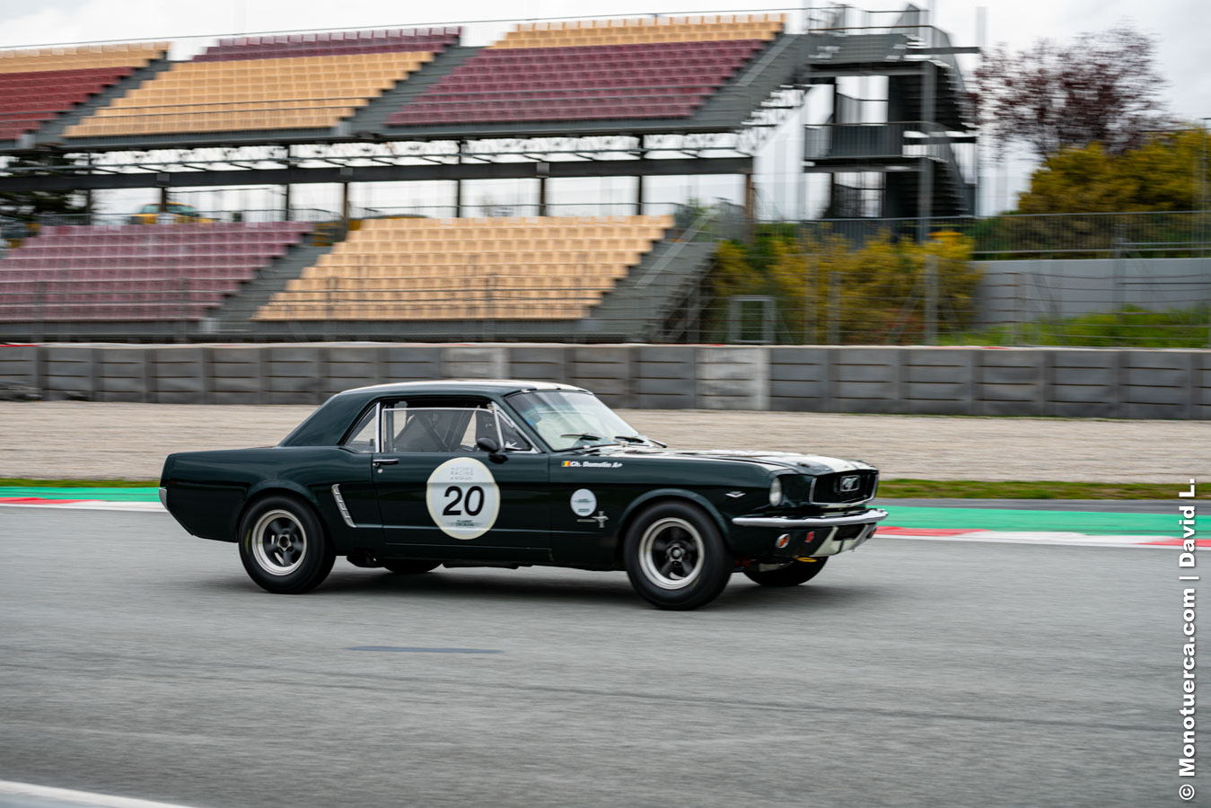 #20 Ford Mustang 289