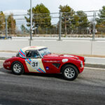 #31 Austin-Healey 3000 Mk II – Paul Ancelin – 2025 Espiritu de Montjuic – 1