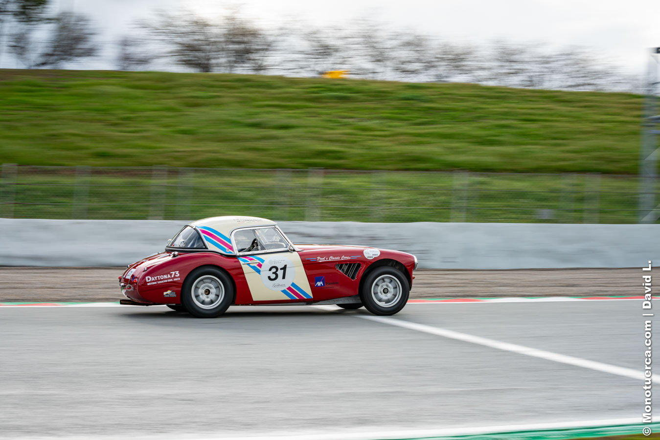 #31 Austin-Healey 3000 Mk II