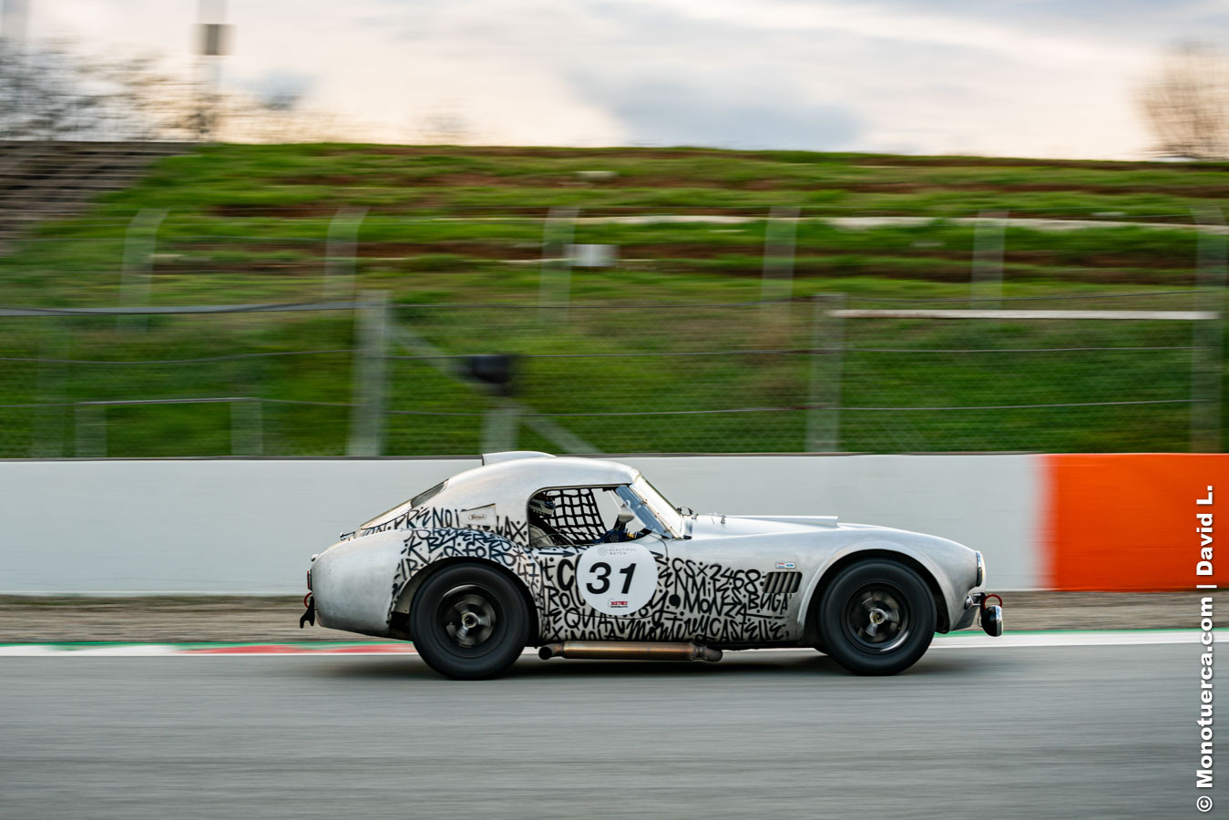 #31 Shelby Cobra 289