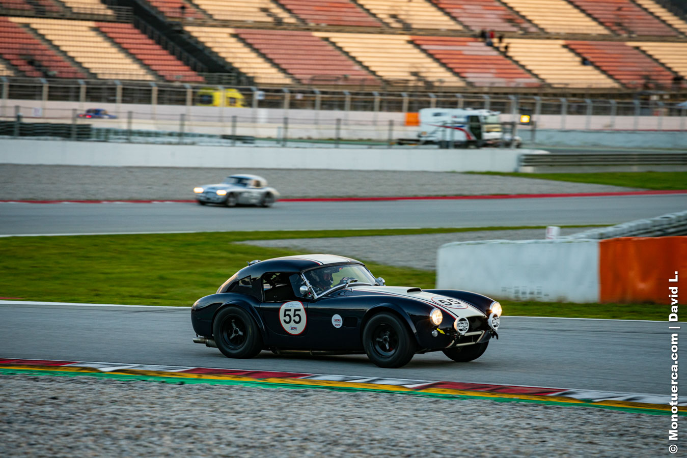 #55 Shelby Cobra 289