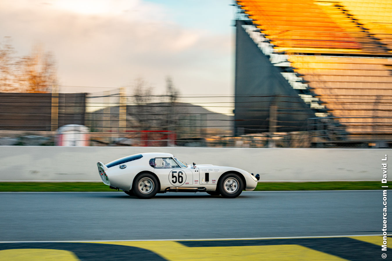 #56 Shelby Cobra Daytona Coupe