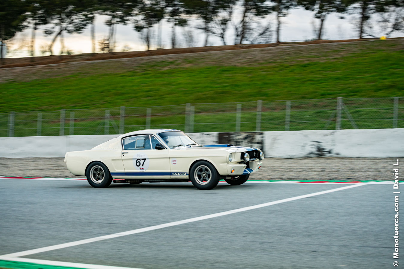 #67 Shelby Mustang GT350