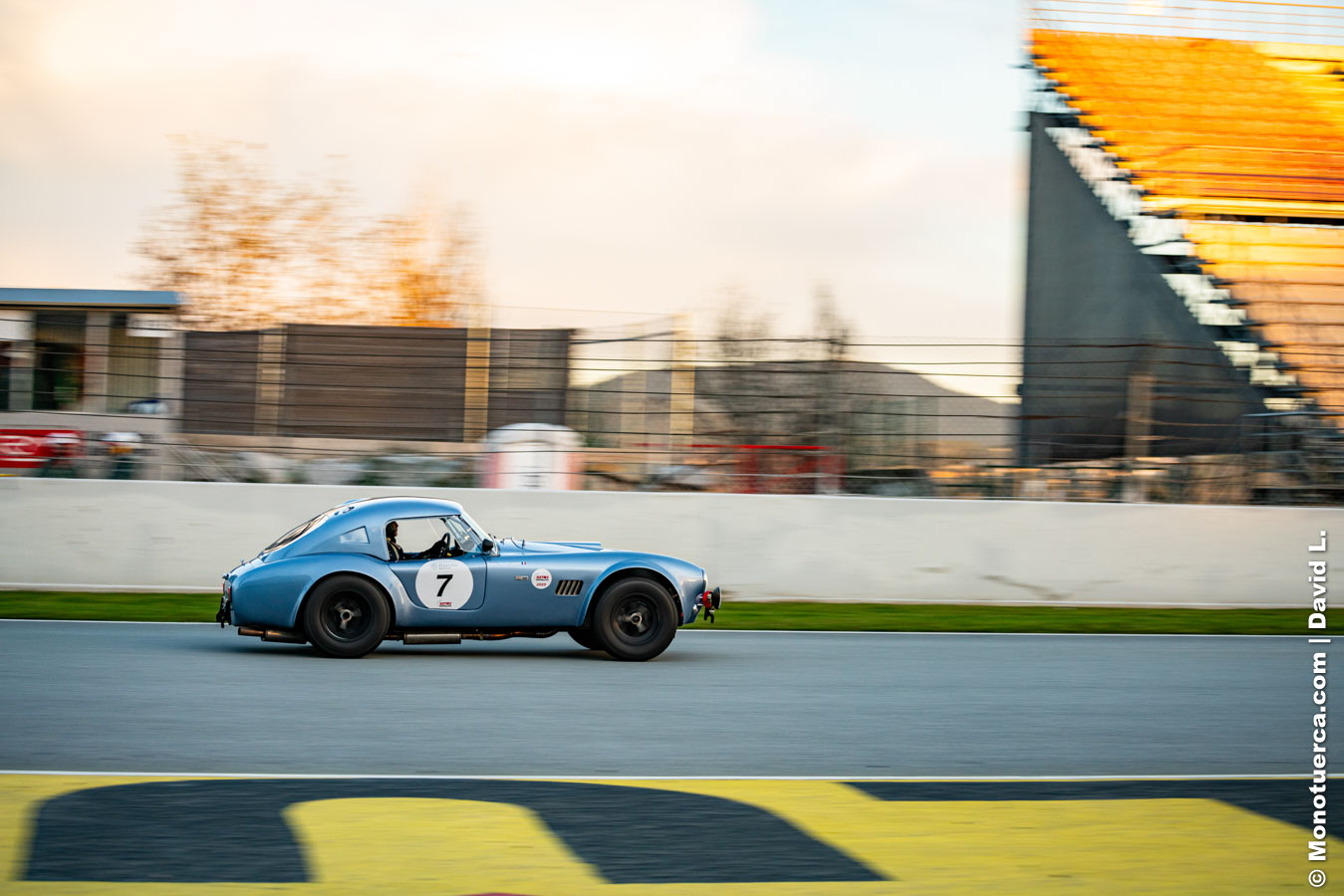 #7 Shelby Cobra 289