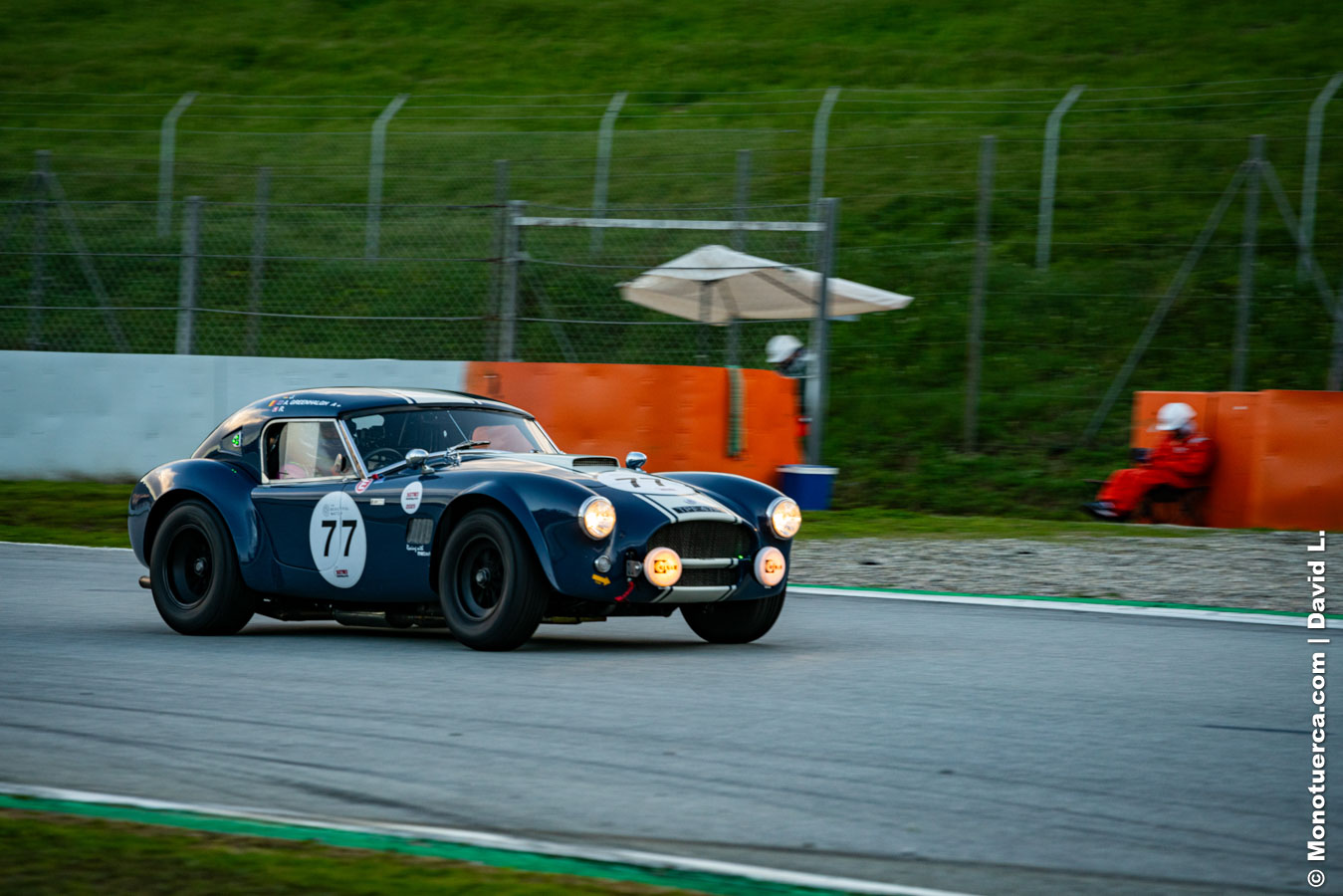 #77 Shelby Cobra 289