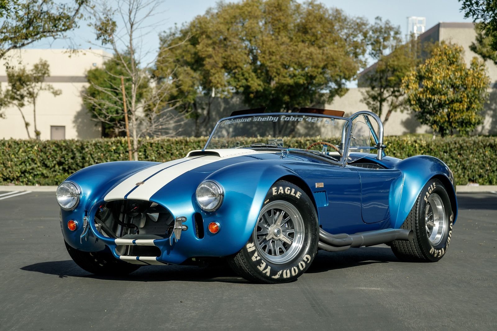 Shelby Cobra Model Line - 16 Shelby Cobra Model Line